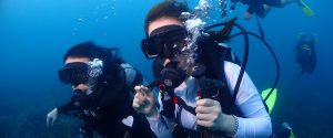 zdp6xg1w548DivingCourse01