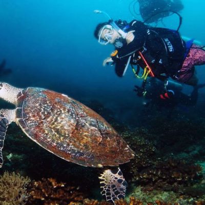 Turtle-Point-Tenggol-Dive-Sites-1